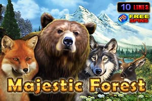Majestic Forest